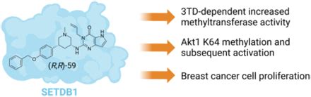 tudor methylligand